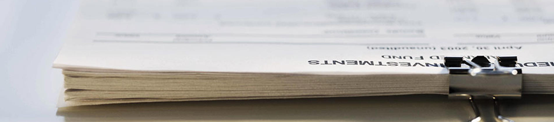 Prospectus and Corporate Governance | RREEF Property Trust | DWS